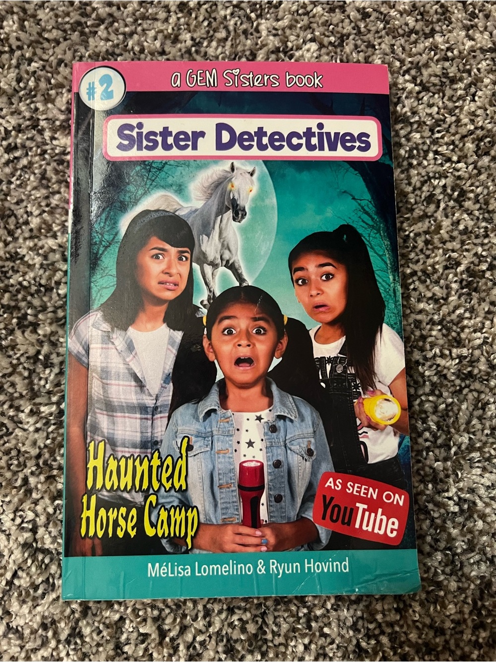 Sister Detectives: Haunted Horse Camp - Green Cover (GEM Sisters)